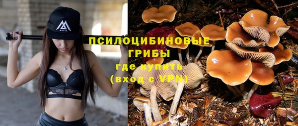 ГАЛЛЮЦИНОГЕННЫЕ ГРИБЫ Абаза