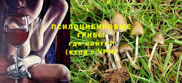 2c-b Пестово