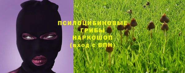 2c-b Пестово