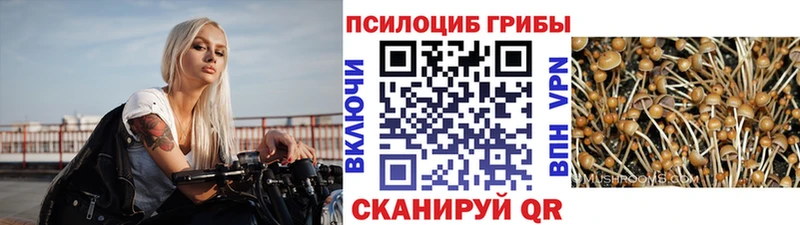Галлюциногенные грибы ЛСД  Людиново 